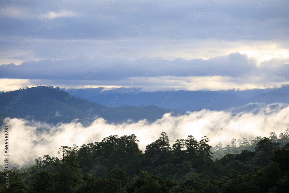 Sea of mist, at the mountains in Thailand. Sea of mist, at the mountains in Thailand.