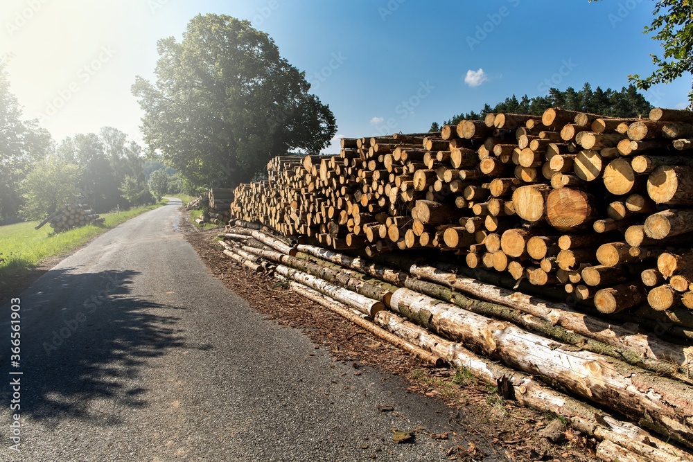 Firewood. Wall of stacked wood logs by the country road, at the edge of the forest. Pile of wooden logs stacked together on top of each other.