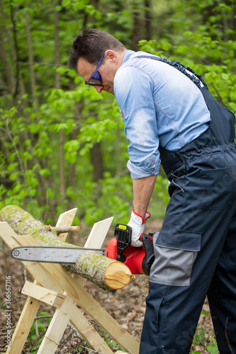 Lumberman in protective safety workwear works with chainsaw and sawing a tree in the forest. Sawing chain in motion. Hard wood working in forest © Model Republic