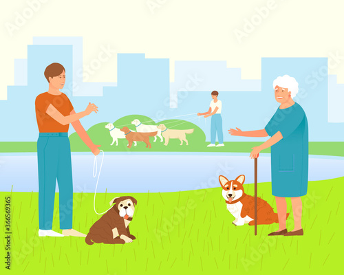 Pembroke Corgi with an elderly mistress for a walk in a dog park. The owner of an English Bulldog is talking to an elderly dog lover.
Park or dog walking area.
     Flat vector