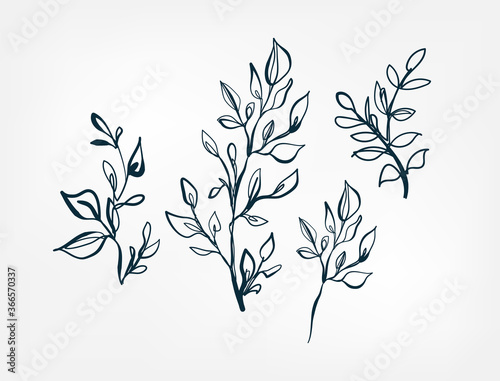 leaves decorative line one art isolated vector illustration