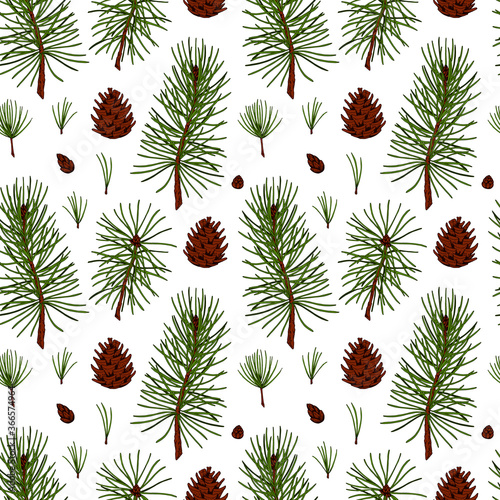 Hand drawn forest and Christmas seamless pattern with fir tree and pine tree branches and cones isolated on white background. Vector illustration in colored sketch style