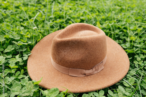 Brown hat on the green grass background, clover in meadow in spring