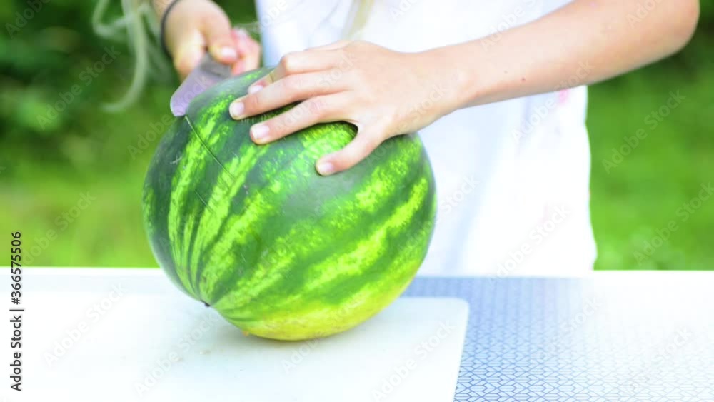 Girl's hands cutting watermelon outdoors in the summer garden Girl's hands cutting watermelon outdoors in the summer garden