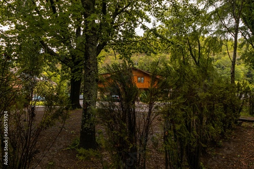 Sunny scenery of some trees with a wooden house on the background photo