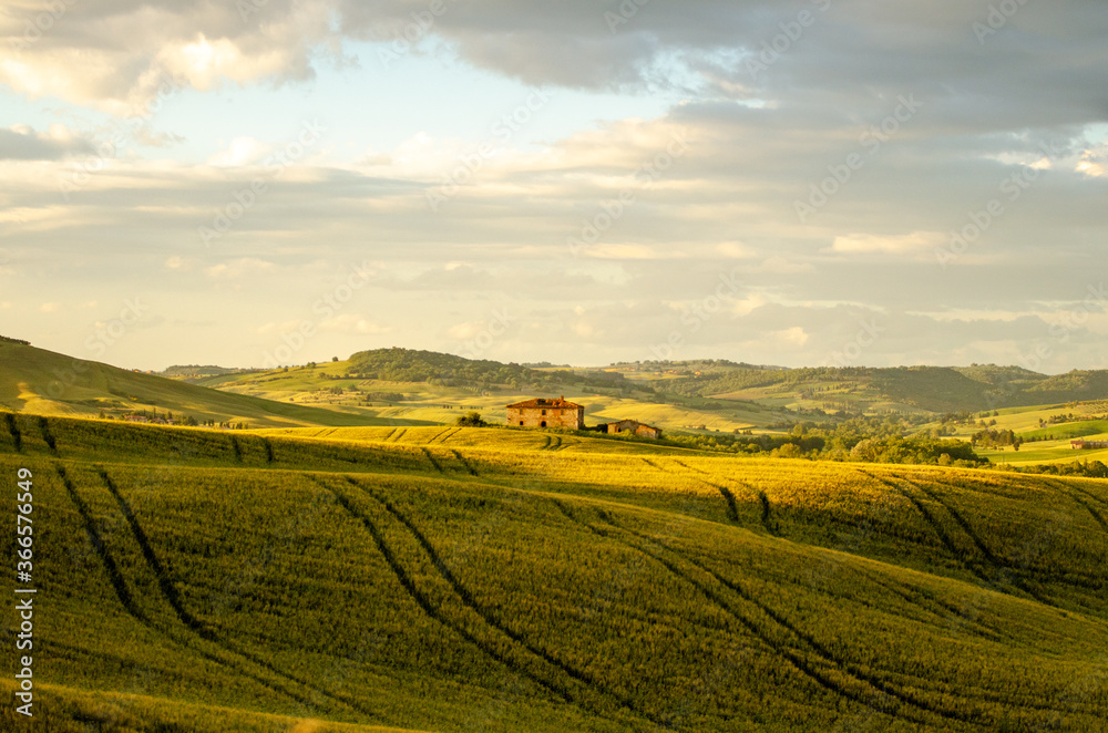 sunset over tuscan countyside with golden wheat fields at summer - Tuscany, Italy