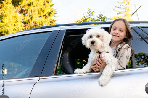A little girl and a puppy in the car