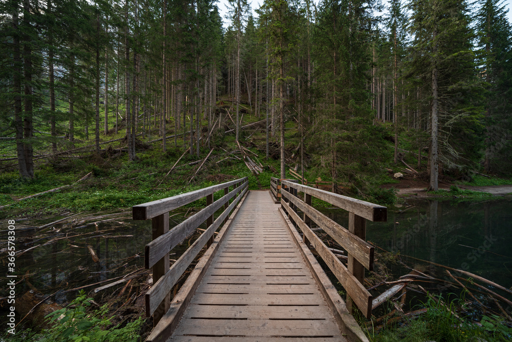 A wooden bridge leads into the green forest in South Tyrol A wooden bridge leads into the green forest in South Tyrol