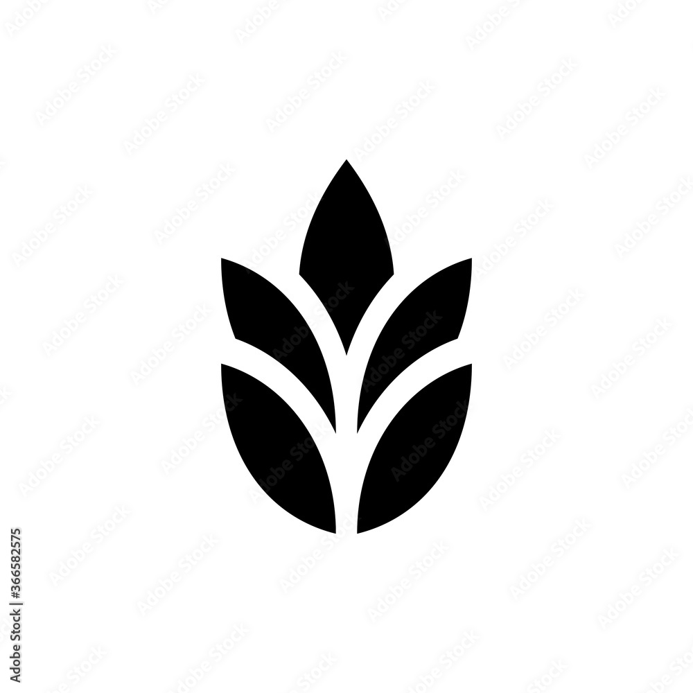 Wheat logo. Icon design. Template elements