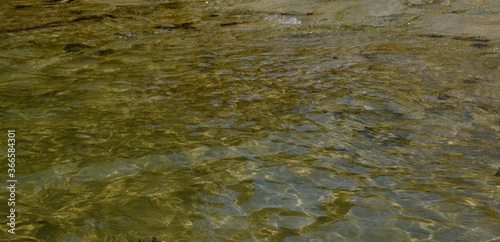 Reflection off the water surface