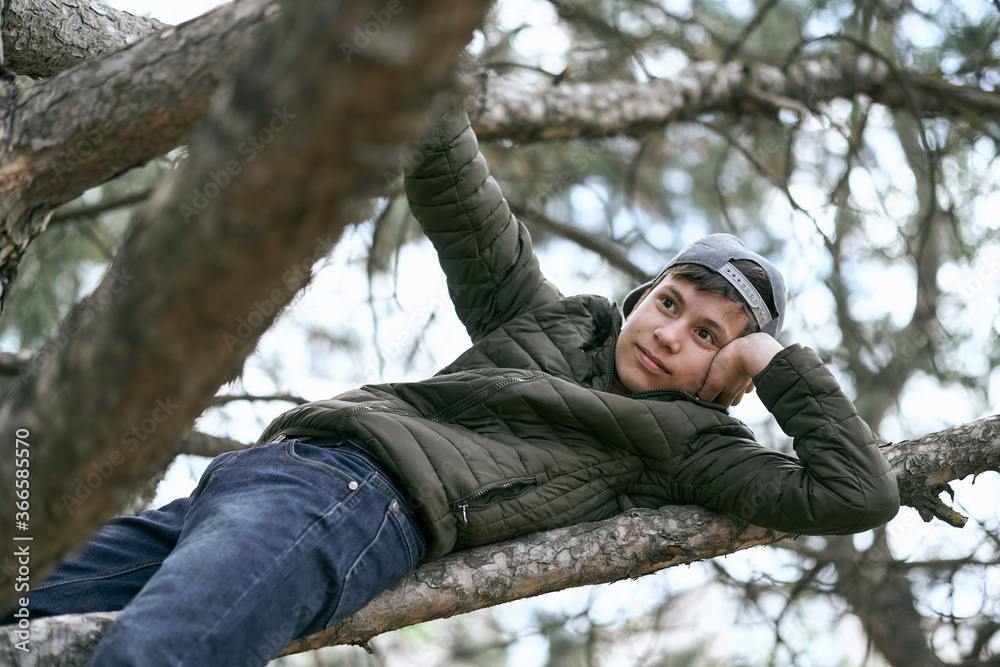 teenage boy poses on a tree, lying on a big branch and dreaming