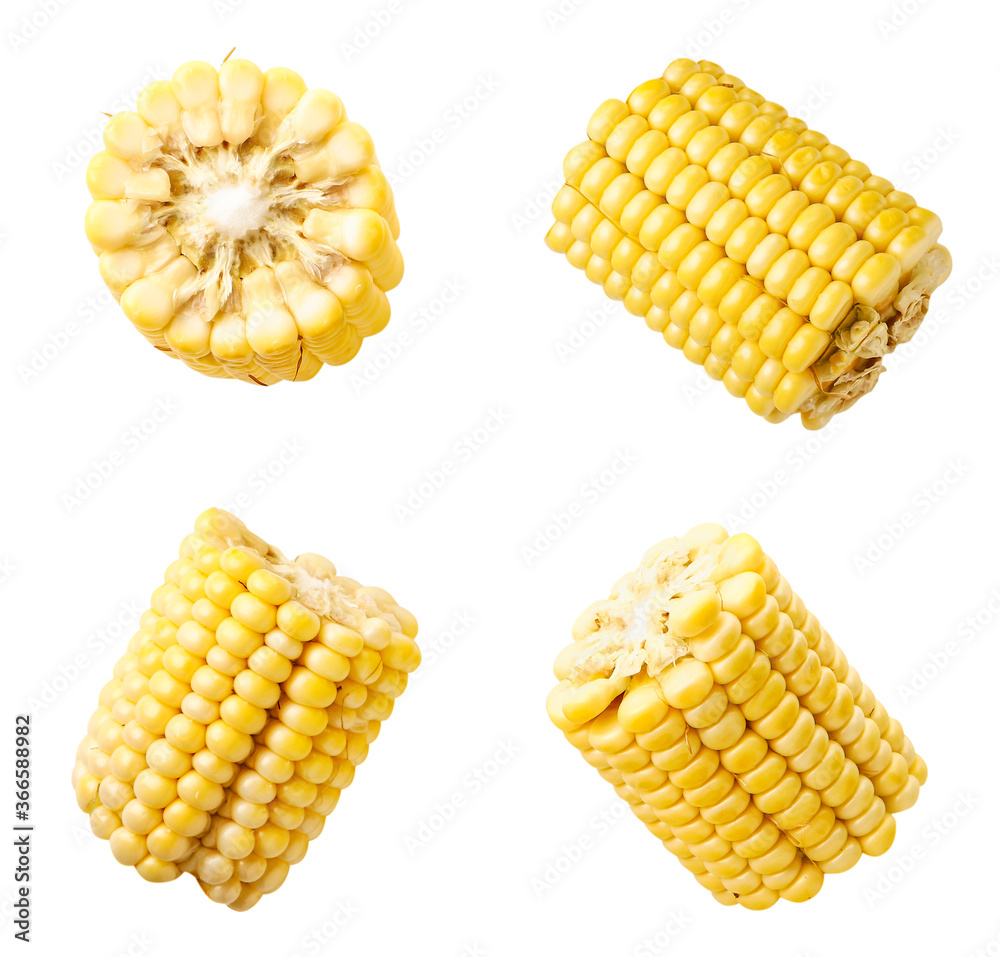 Set of peeled corn slices on a white background. Isolated Set of peeled corn slices on a white background. Isolated