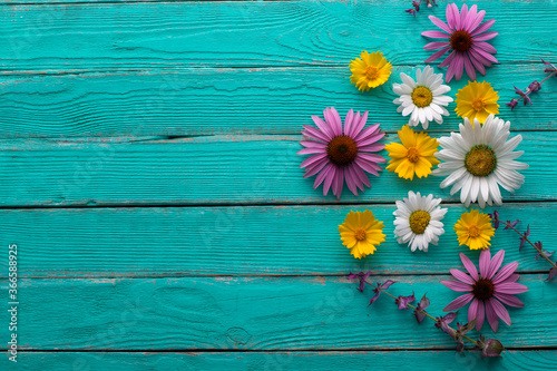 colorful flowers on wooden background