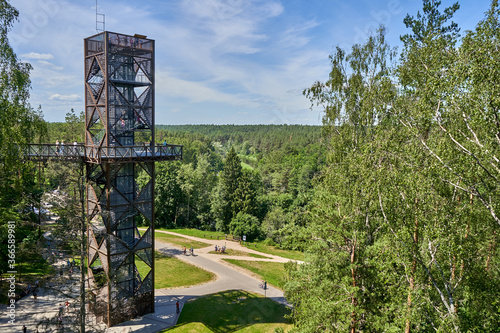 Tower in the forest photo