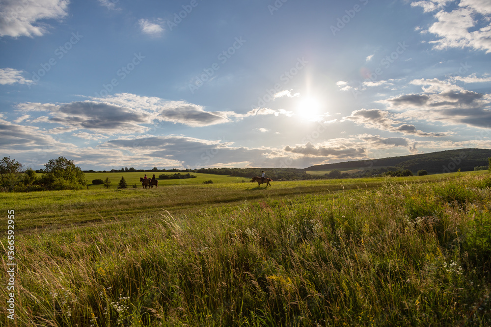 sunset landscape with horse