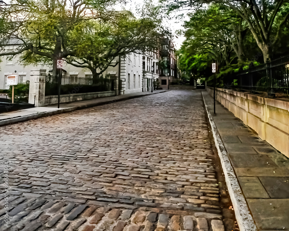 Fototapeta premium Old Stone Street In Charleston