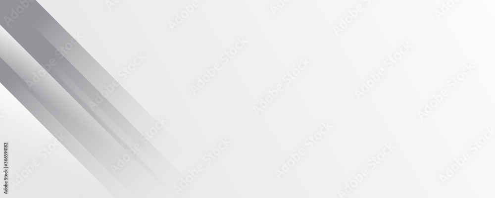 Obraz premium Elegant soft gray white light stripes pattern texture wide banner background