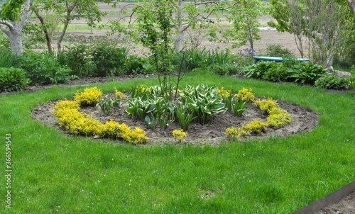 Fototapeta Naklejka Na Ścianę i Meble -  Design of landscaping in the garden, park, square, recreation area