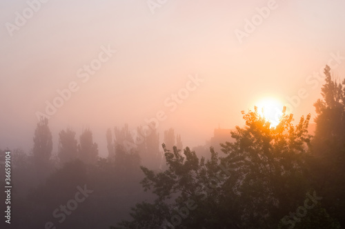 Spring cityscape - morning fog, green trees and sky with clouds