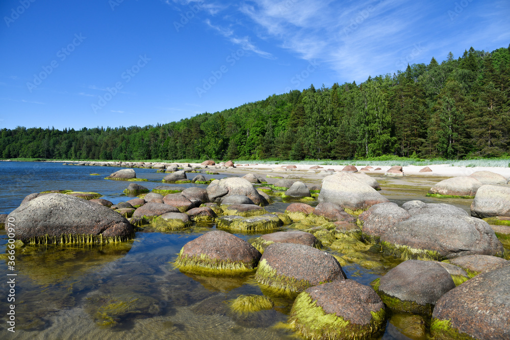 The rocky shore of the Gulf of Finland