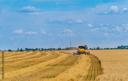 Agriculture machine harvesting crop in fields, Special technic in action.