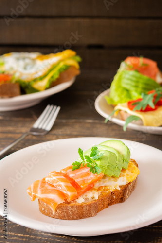 Different delicious sandwiches for breakfast, bread with cheese, avocado and trout, sandwich with egg, tomato and rucola, parsley