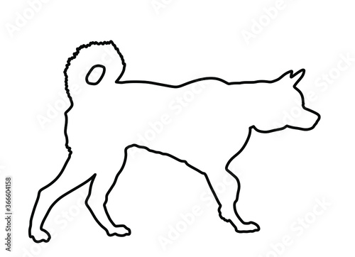 Siberian Husky dog vector line contour silhouette illustration. Akita Inu breed. Dog show champion. Purebred guard dog. Lovely pet and family's best friend. Beware of dog sign.  