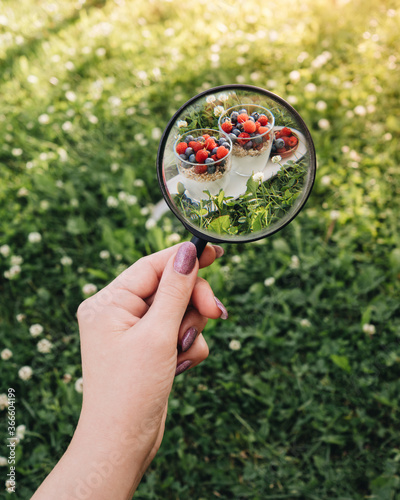 A woman's hand regit a magnifying glass in it you can see glasses of yogurt and fresh raspberries and blueberries. Green grass all around. Search for healthy foods in the summer. Reducing calories photo