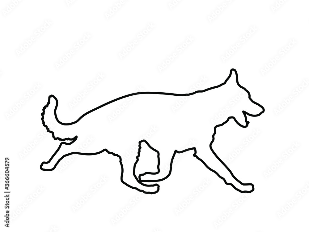 German Shepherd running dog vector line contour silhouette isolated on white. Man's best friend. Lovely pet. Dog show exhibition. Finder detect explosives and drugs. Rescue finding dog. German Shepherd running dog vector line contour silhouette isolated on white. Man's best friend. Lovely pet. Dog show exhibition. Finder detect explosives and drugs. Rescue finding dog.