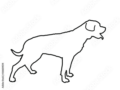 German military guardian dog rottweiler portrait vector line contour illustration. Dog for detecting smuggling drugs. Beware of purebred   Dog show champion. Best friend. Beware of dog sign.  