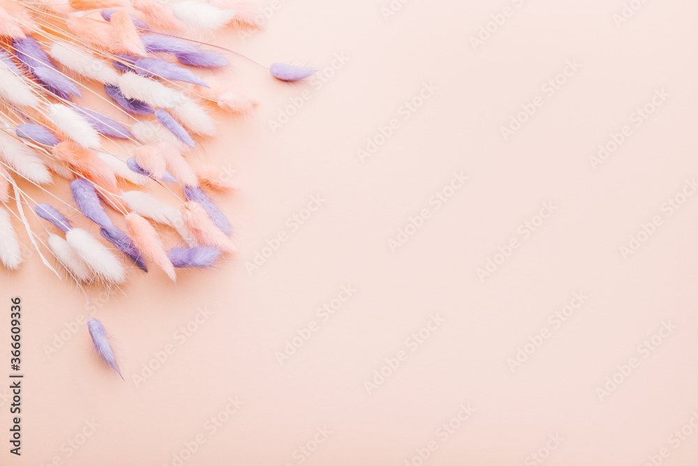 Fototapeta premium Home Decor from Rabbit Tail Grass Dried Flowers Bouquet, flat lay, copy space