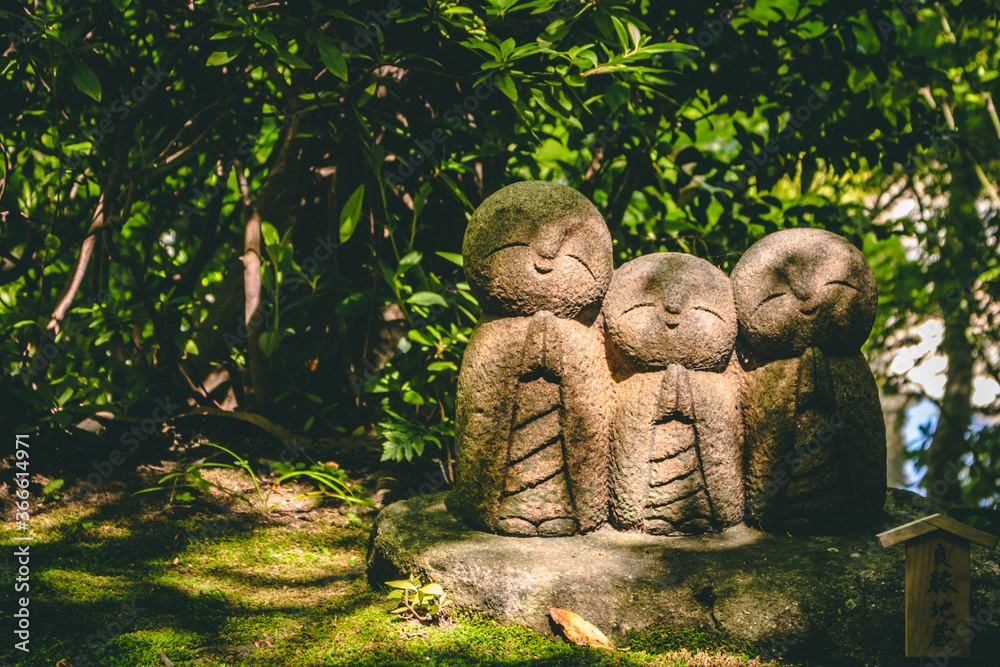 children in the forest