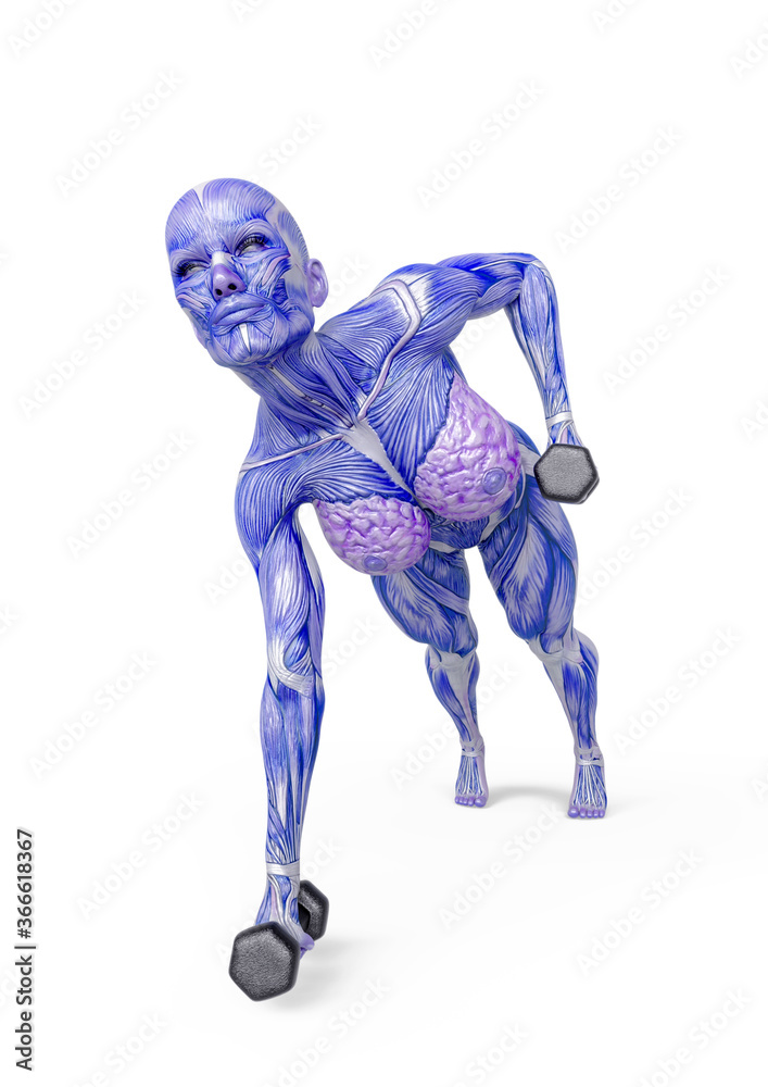 female bodybuilding in muscle maps doing push-ups with dumbbell in white background female bodybuilding in muscle maps doing push-ups with dumbbell in white background