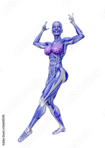 female bodybuilding in muscle maps is doing a bodybuilder pose nine in white background close up view © DM7
