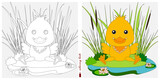 Black-and-white and color images for a color book. Contour drawing with children's themes. A duckling is sitting on a pond among reeds and sedges. For color books, children's prints, postcards.