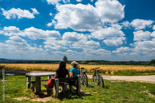 Spacer, Rowery, Wypoczynek, Lato, Zboża, Małopolska photo