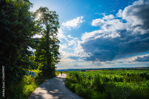 rowerzysta, kraków, zielonki photo