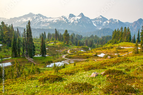 North Cascades Mountains with a meadow and forest foreground viewed from a trail just above Paradise Lodge, Ranier National Park, Washington photo
