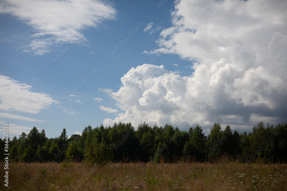 Natural landscape field with clouds. Cumulus clouds on a hot summer day. An open field with a forest in the distance. Natural landscape field with clouds. Cumulus clouds on a hot summer day. An open field with a forest in the distance.