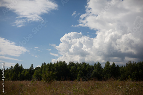 Natural landscape field with clouds. Cumulus clouds on a hot summer day. An open field with a forest in the distance. © Олег Копьёв