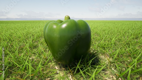 Green pepper. Eating out in nature.