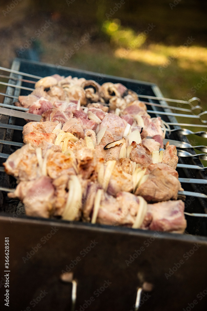 Raw kebab with vegetables. Russian shashlik. Raw kebab with vegetables. Russian shashlik.