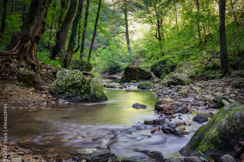 Quiet mountain stream among the roots of trees and stones Quiet mountain stream among the roots of trees and stones