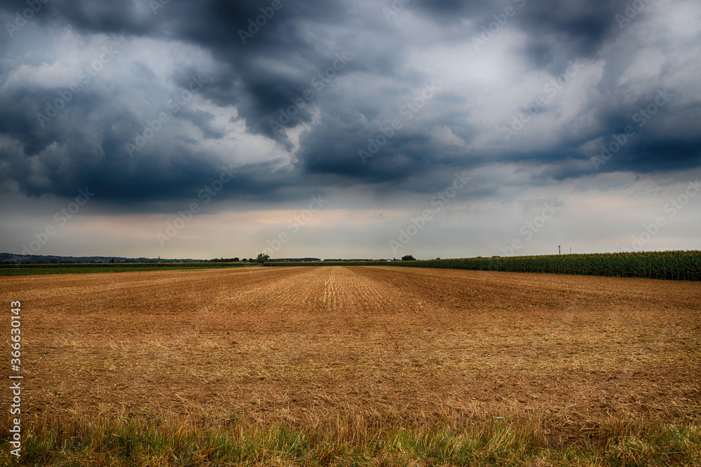 Fototapeta premium Pianura Padana (AL)