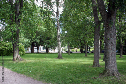 Walking in a Park in Helsinki, Finland photo