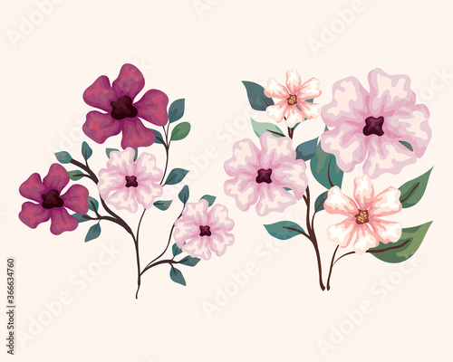 set of flowers  branches with leaves  nature decoration