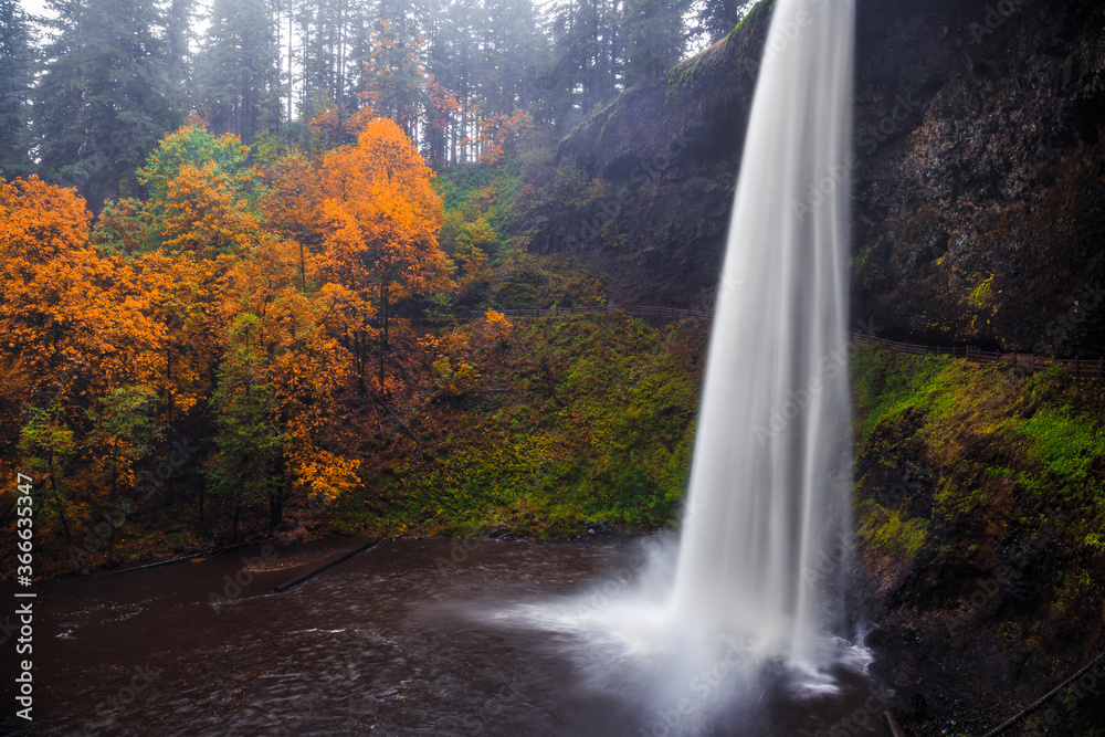 Fototapeta premium South Falls in Autumn, Silver Falls State Park, Oregon