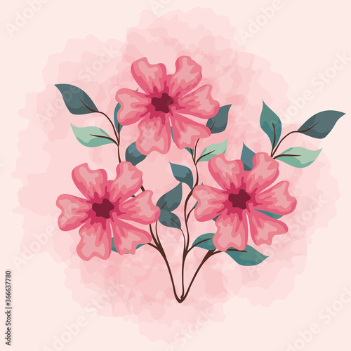 flowers pink color  branches with leaves  nature decoration