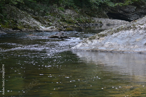 Beauty in the Smokies