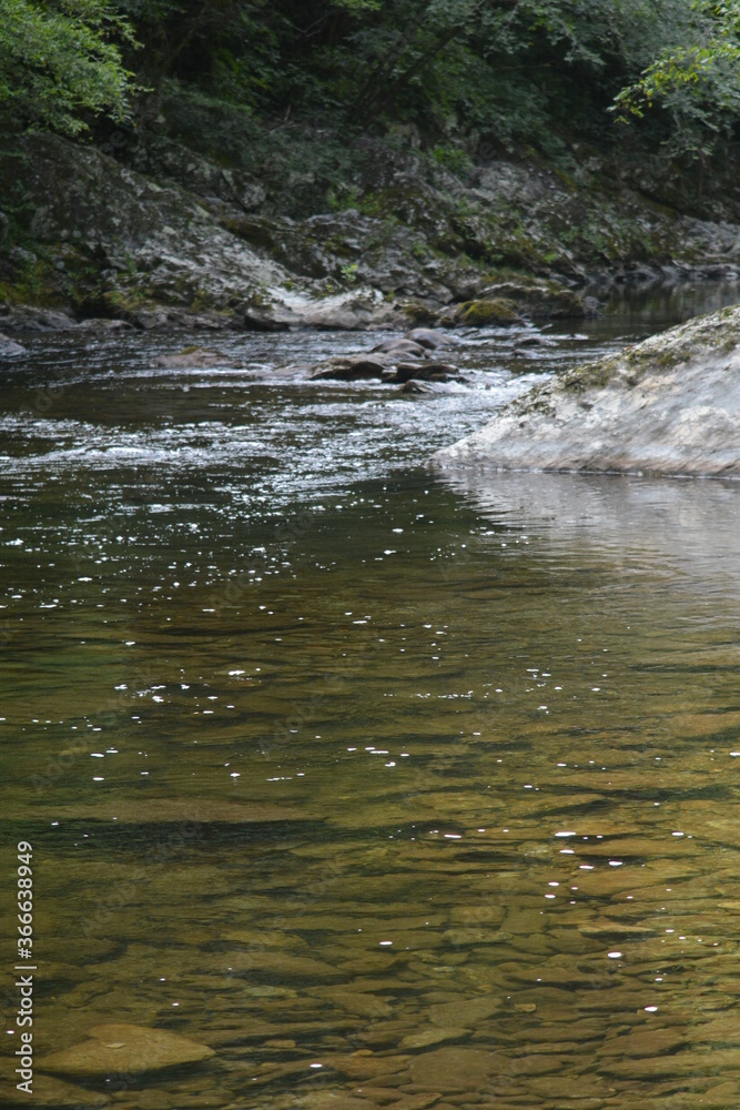 Beauty in the Smokies Beauty in the Smokies